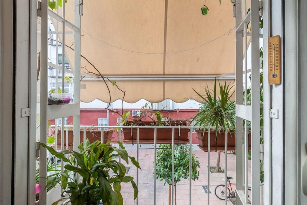 Ferienwohnung Women Only - Solo Mujeres Sevilla Exterior foto