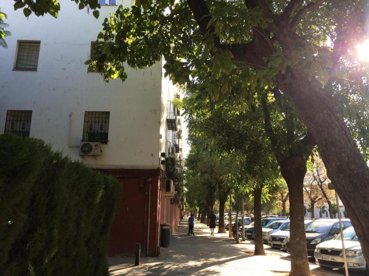 Ferienwohnung Women Only - Solo Mujeres Sevilla Exterior foto