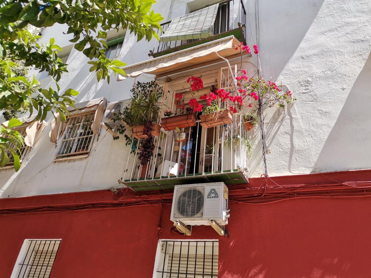 Ferienwohnung Women Only - Solo Mujeres Sevilla Exterior foto